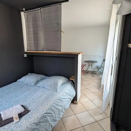 Proche Du Groupama Stadium Apartamento *